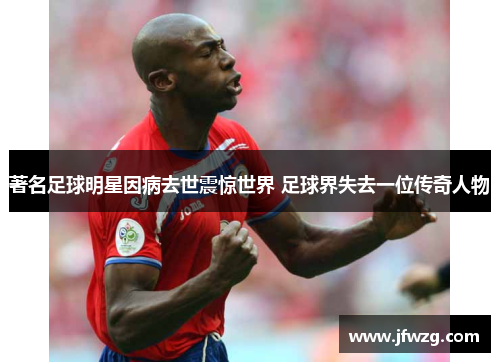 著名足球明星因病去世震惊世界 足球界失去一位传奇人物