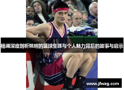 杨澜深度剖析姚明的篮球生涯与个人魅力背后的故事与启示
